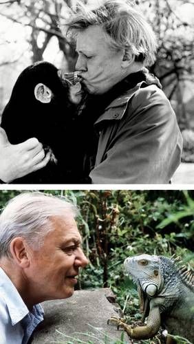 David-Attenborough-cumple-100-anos-este-8-de-mayo-de-2026